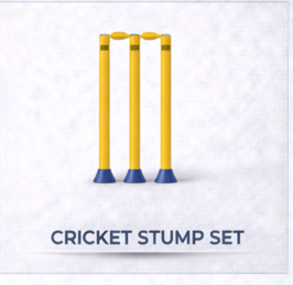 Cricket Stump Set